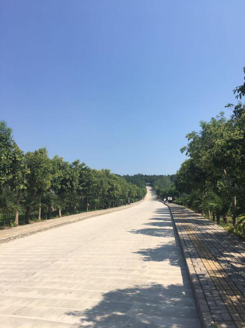 5b890016d614b.png 圖片2.png